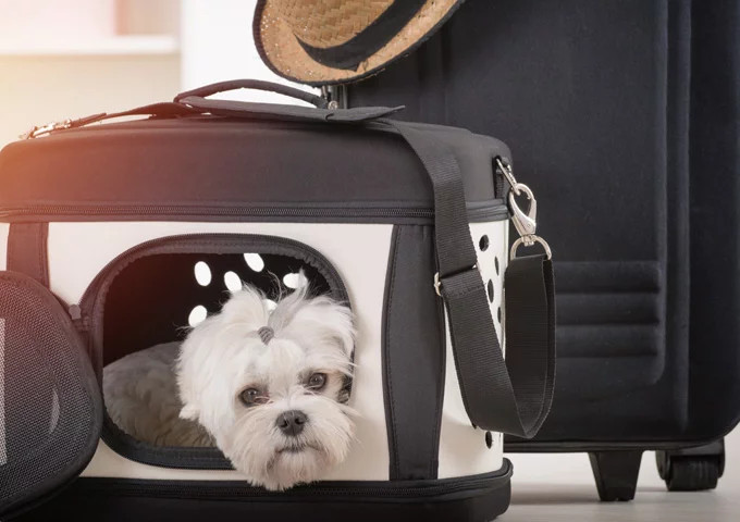 media.Gallery-Servizi-02-Hotel-Bellevue-Rimini